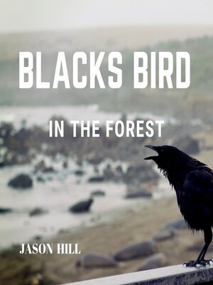 cover image of Black Bird in the Forest